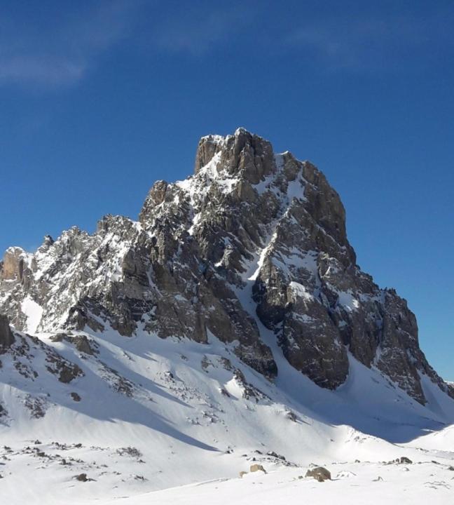 Le Gaudissart 2 Daire Barcelonnette Dış mekan fotoğraf